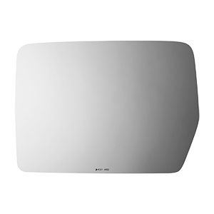 SIDE VIEW MIRROR HEATED W MOUNT